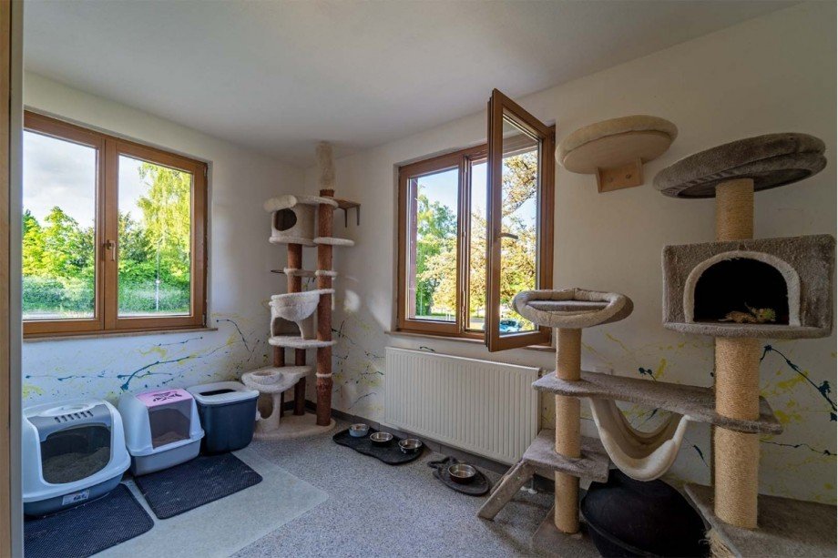 Zimmer Erdgeschoss Einfamilienhaus M�nsingen