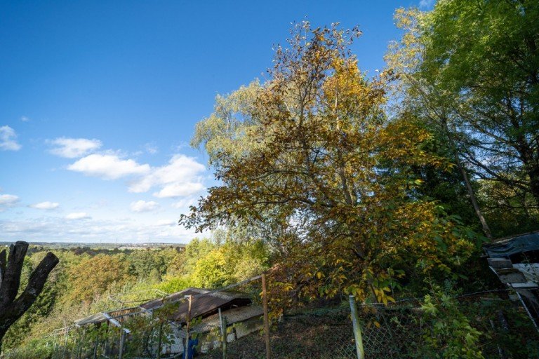 Bild... Reutlingen Freizeitgrundst�ck Freizeitgrundst�ck mit H�tte am Ortsrand von Orschel-Hagen