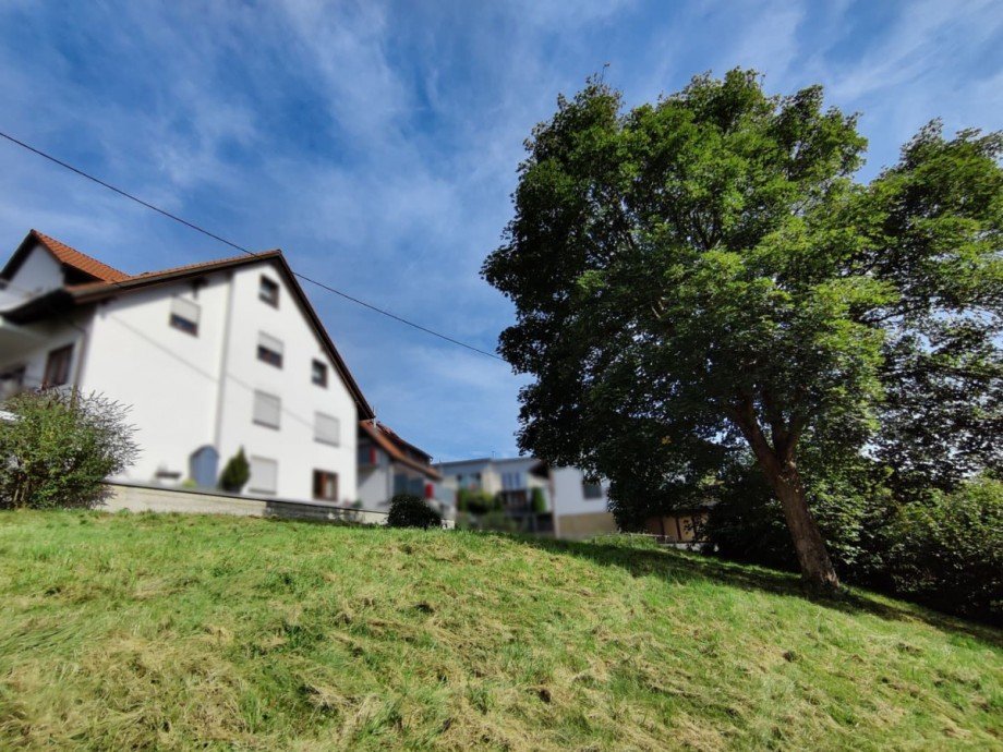Grundst�ck Wohngrundst�ck Pliezhausen