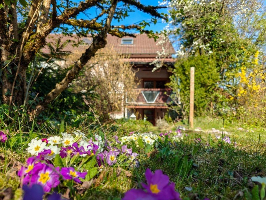 Garten Doppelhaush�lfte Pfullingen