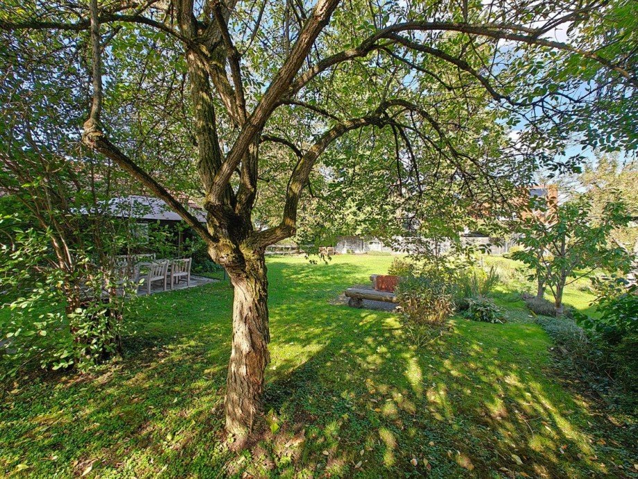 Garten Einfamilienhaus Pfullingen